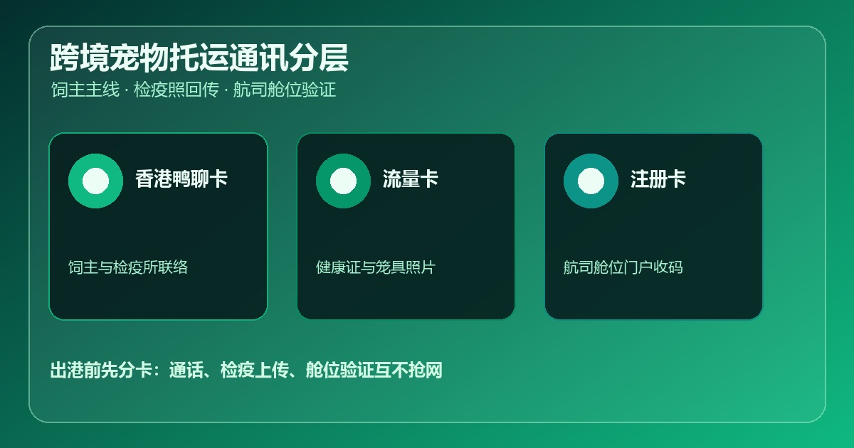 跨境宠物托运香港鸭聊卡购买流量卡注册卡通讯配置